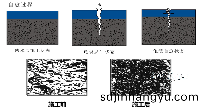 水泥基(ji)滲透(tou)結晶(jing)防水施(shi)工(gong)工(gong)藝(yi)及施工常(chang)見問題解答(da)