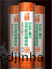 防(fang)水(shui)材料廠(chang)傢(jia)推薦的高分(fen)子防水(shui)捲材(cai)有哪(na)幾(ji)類(lei)