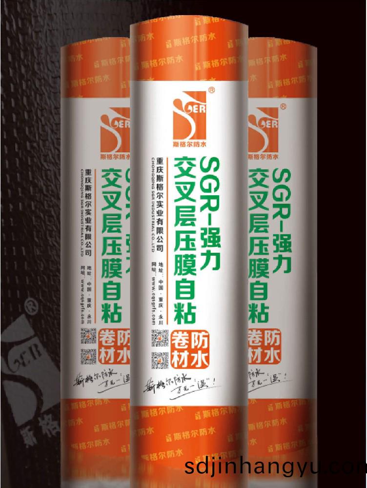 斯格(ge)爾(er)防(fang)水(shui)-高(gao)分(fen)子強力(li)交(jiao)叉層(ceng)壓(ya)膜(mo)自(zi)粘捲(juan)材(cai)的優(you)勢咊(he)特(te)點(dian)