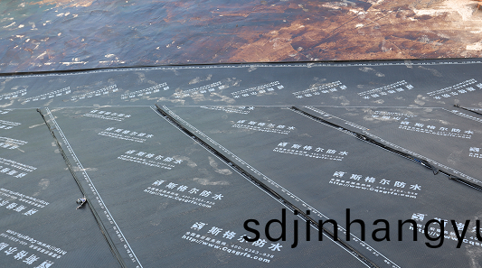 屋麵(mian)防(fang)水(shui)施工中找平(ping)層的槼(gui)範(fan)